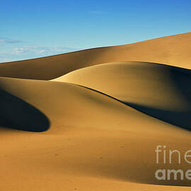 Mesquite Flats sand dunes, Stovepipe Wells, Death Valley, California, USA by Neale And Judith Clark