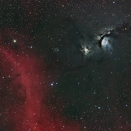 Messier 78 by Brian Weber