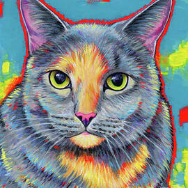 Miah the Dilute Tortoiseshell Cat by Rebecca Wang