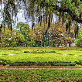 Middleton Plantation Landscape by Louis Dallara