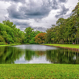 Middleton Plantation Landscape, SC by Louis Dallara
