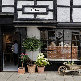Midhurst shops by Shirley Mitchell