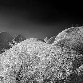 Midnight at Jumbo Rocks by Joe Schofield