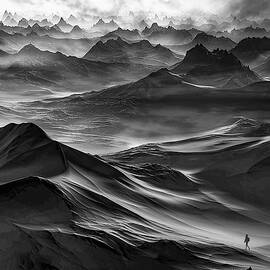 Midnight dream by Sofie Conte