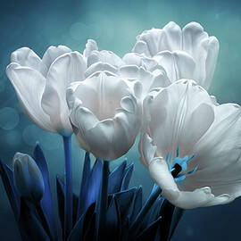 Midnight Whispers by Bill and Linda Tiepelman