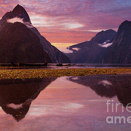 Milford Sound Sunset, New Zealand by Neale And Judith Clark