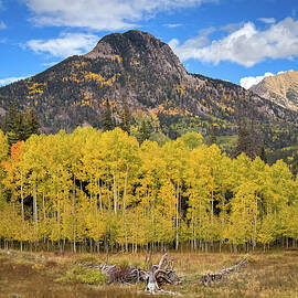 Million Dollar Highway Autumn Road Stop - Colorado by Bruce Friedman