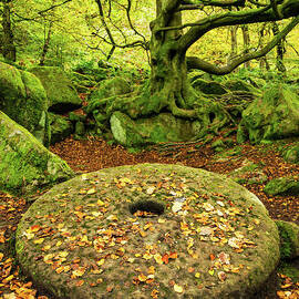 Millstone at Padley Gorge, Peak District National Park, Derbyshire, England by Neale And Judith Clark