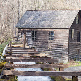 Mingus Mill by Stacy Abbott