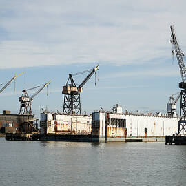Mission Bay Cranes by Richard Reeve