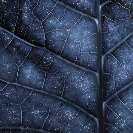 Mithril by Moira Risen