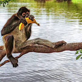 Mmm, Banana by Tatiana Travelways