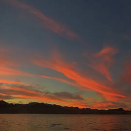 Mohave Swirl by Matt Halvorson