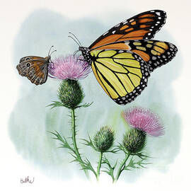 Monarch Butterfly by Don Balke