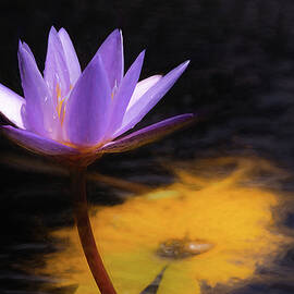 Monet's Obsession by Dodie Ross