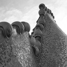 Monochrome Gaudi Dragon by Richard Reeve