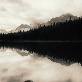Monochrome Hector Lake Canadian Rockies by Dan Sproul
