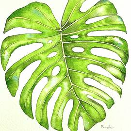 Monstera I by Catherine Bede