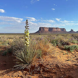 Monument Valley by Joe Schofield
