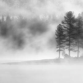 Moody Dawn by Mike Lee