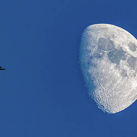 Moon Flight by Tommy Farnsworth
