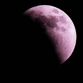 Moon by Robert Allen Hill