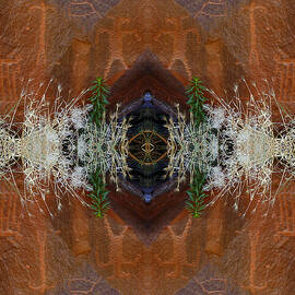 Moonflower Canyon Petroglyphs by Dan Norris