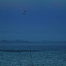 Moonrise Monterey Bay by Tommy Farnsworth