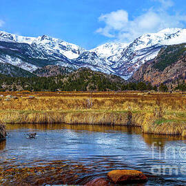 Moraine Park in Rocky Mountain National Park by Shirley Dutchkowski
