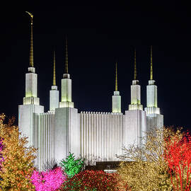Mormon temple in Washington DC with xmas lights by Steven Heap