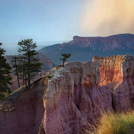 Morning Light on Bryce Canyon Hoodoos by Rebecca Herranen