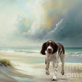 Morning Walk on the Beach by Eva Lechner