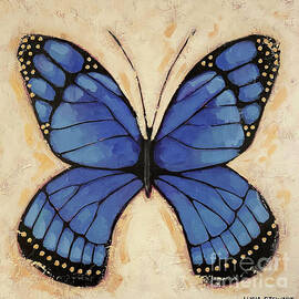 Morpho Butterfly by Lucia Stewart