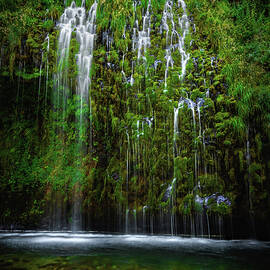 Mossbrae Falls and Pool, California - Vertical by Abbie Matthews