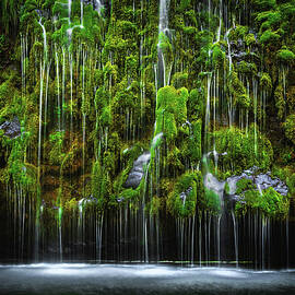 Mossbrae Falls Weeping Wall, California by Abbie Matthews