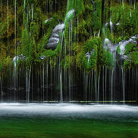 Mossbrae Falls Weeping Wall Panorama, California by Abbie Matthews