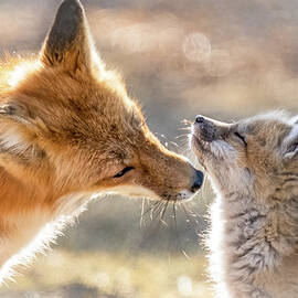 Mothers Love by James Overesch