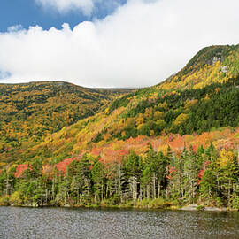 Mount Moosilauke and Beaver Pond #2794 by Dan Beauvais