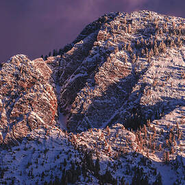 Mount Olympus - Purple by Abbie Matthews