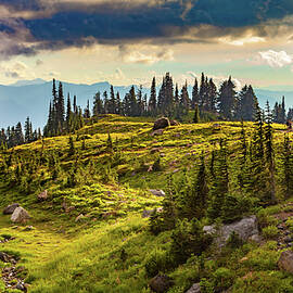 Mount Rainier Trail by Tommy Farnsworth