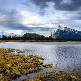 Mount Rundle by DEE POTTER