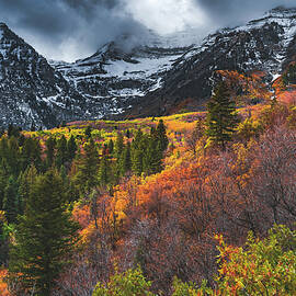 Mount Timpanogos Autumn by Abbie Warnock