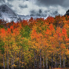 Mount Timpanogos Autumn Colors, Utah by Abbie Matthews