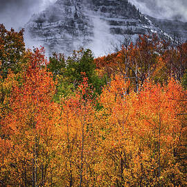 Mount Timpanogos Autumn Colors, Utah - Vertical by Abbie Matthews