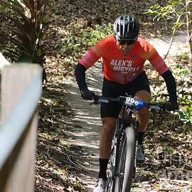 Mountain Biker Navigating Forest Trail 3156 by Donn Ingemie