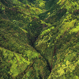 Mountain Jungle - Kauai, Hawaii - Vertical by Abbie Matthews