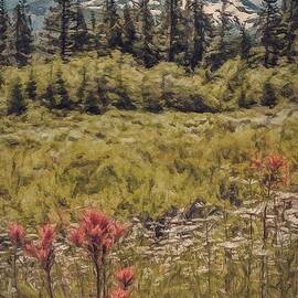 Mountain Meadow by Jeffrey Kolker