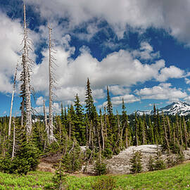 Mountain Panorama Mt Rainier by Tommy Farnsworth