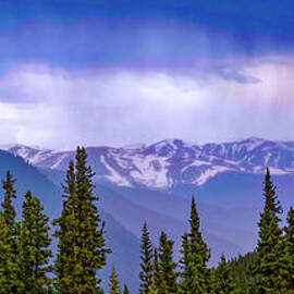 Mountain Rain Over Pine Forest by Shirley Dutchkowski