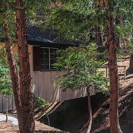 Mountain Retreat by Alison Frank